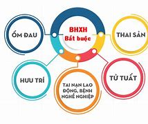 Chế Độ Bảo Hiểm Cho Người Mắc Bệnh Hiểm Nghèo