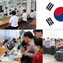 Xklđ Hàn Quốc Năm 2022 Cần Những Gì Học Gì